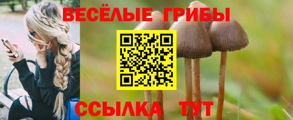 Псилоцибиновые грибы прущие грибы  Вход с VPN  Галлюциногенные грибы мухоморы  купить  сайты  Карпинск 